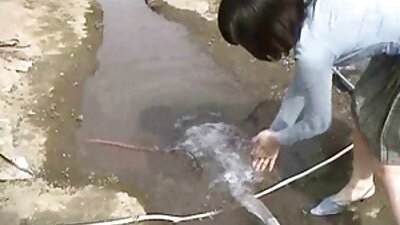 ดอกทองตูดใหญ่ที่รักการมีเพศสัมพันธ์ทางทวารหนักกำลังระยำในรูของเธอ